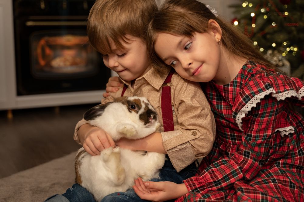 Photograph by Дарья Строганова