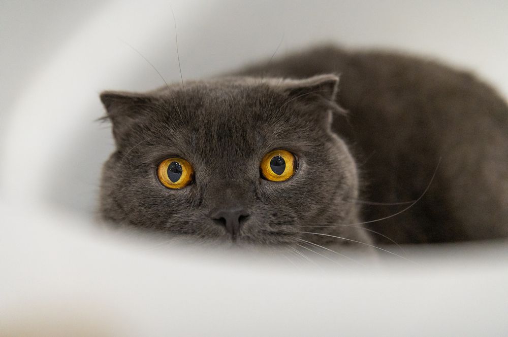 Photograph by Анастасия Мельник