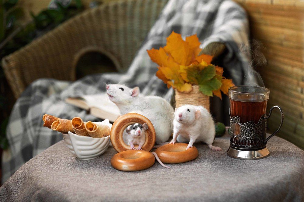 Photograph by Анастасия Мельник