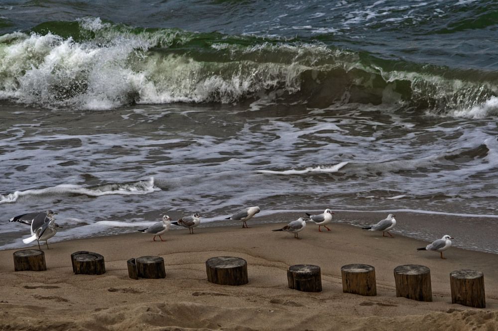 Photograph by Ирина