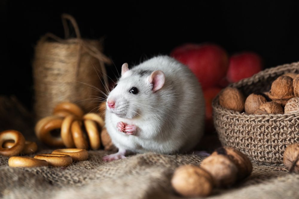 Photograph by Анастасия Мельник