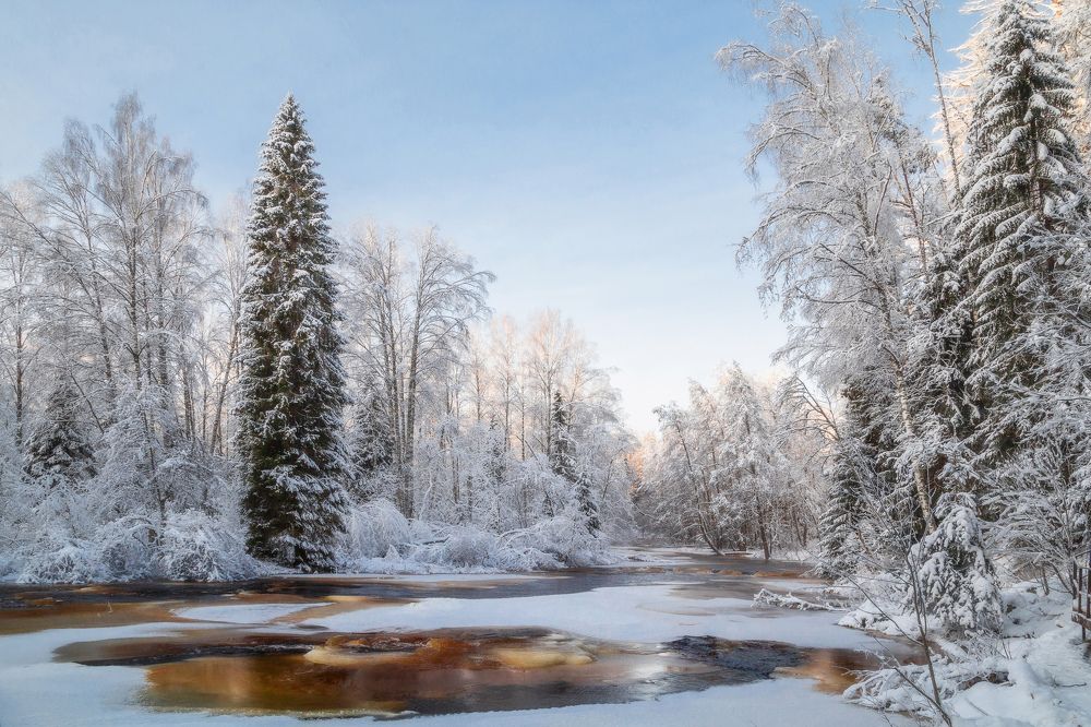 Зимний день