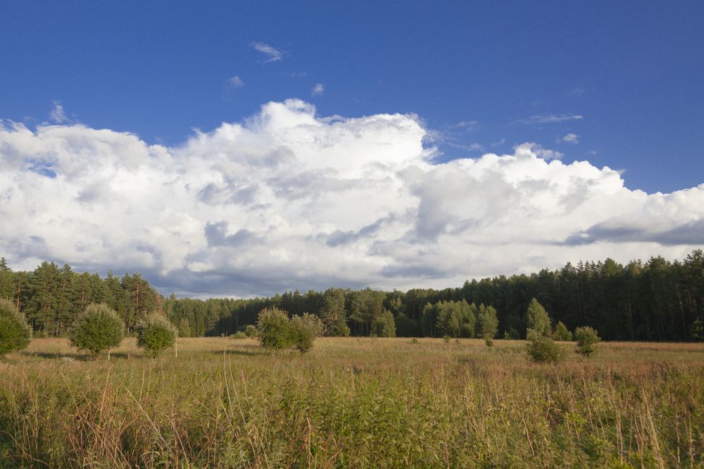 Фотография автора Вадим Лабитов
