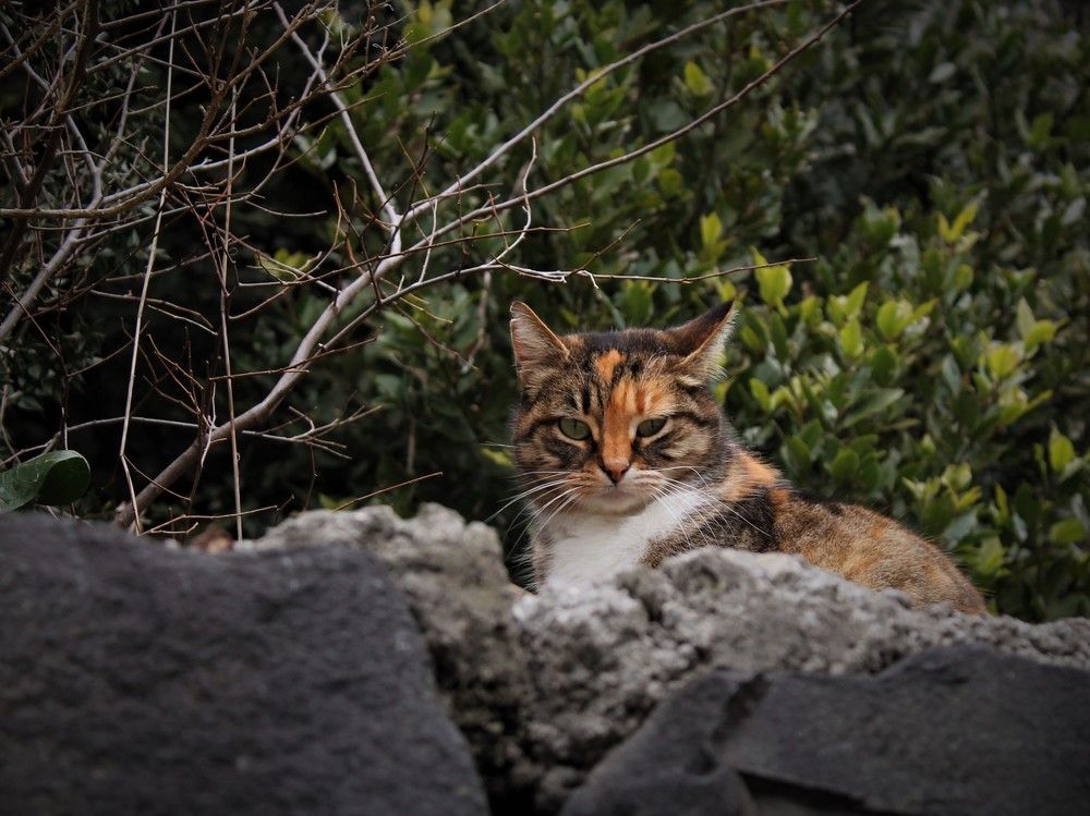 Photograph by Татьяна Долгушева