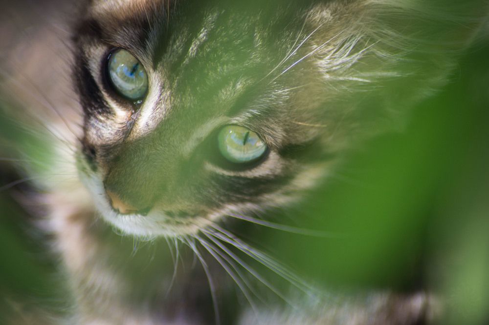 Photograph by Vesela Boycheva