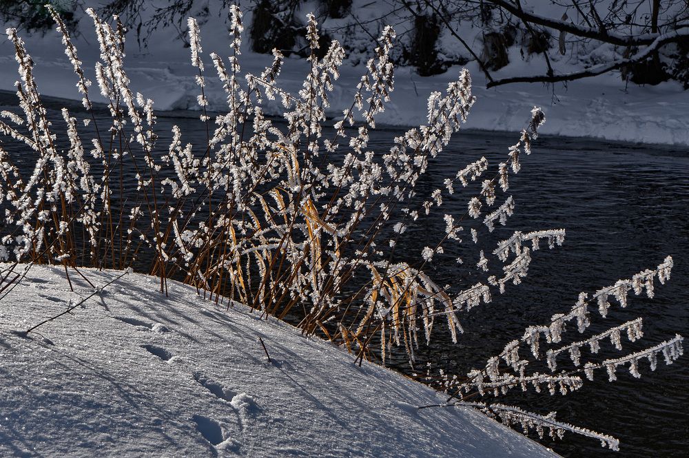 Photograph by Ирина