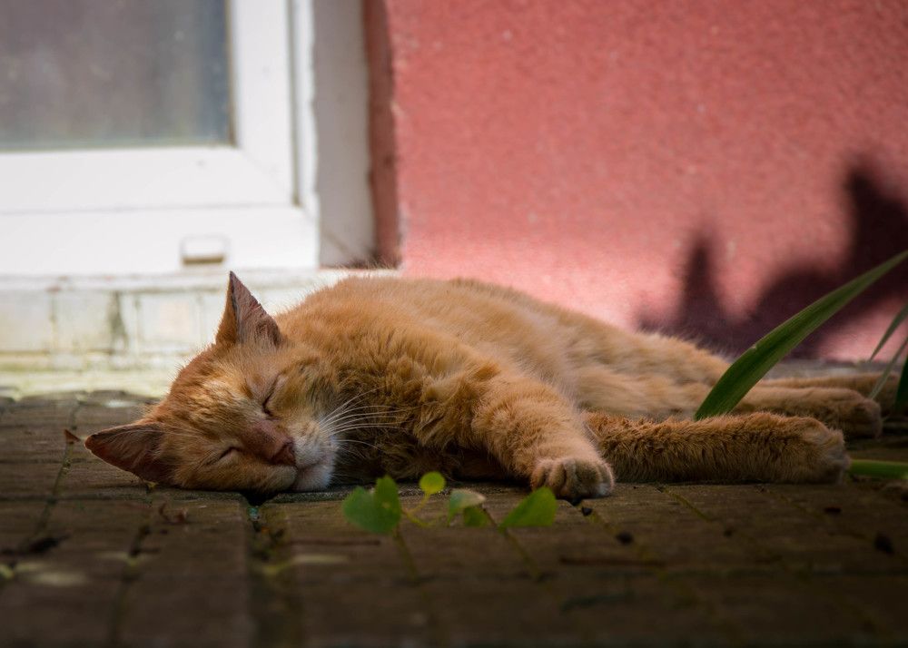 Photograph by Vesela Boycheva