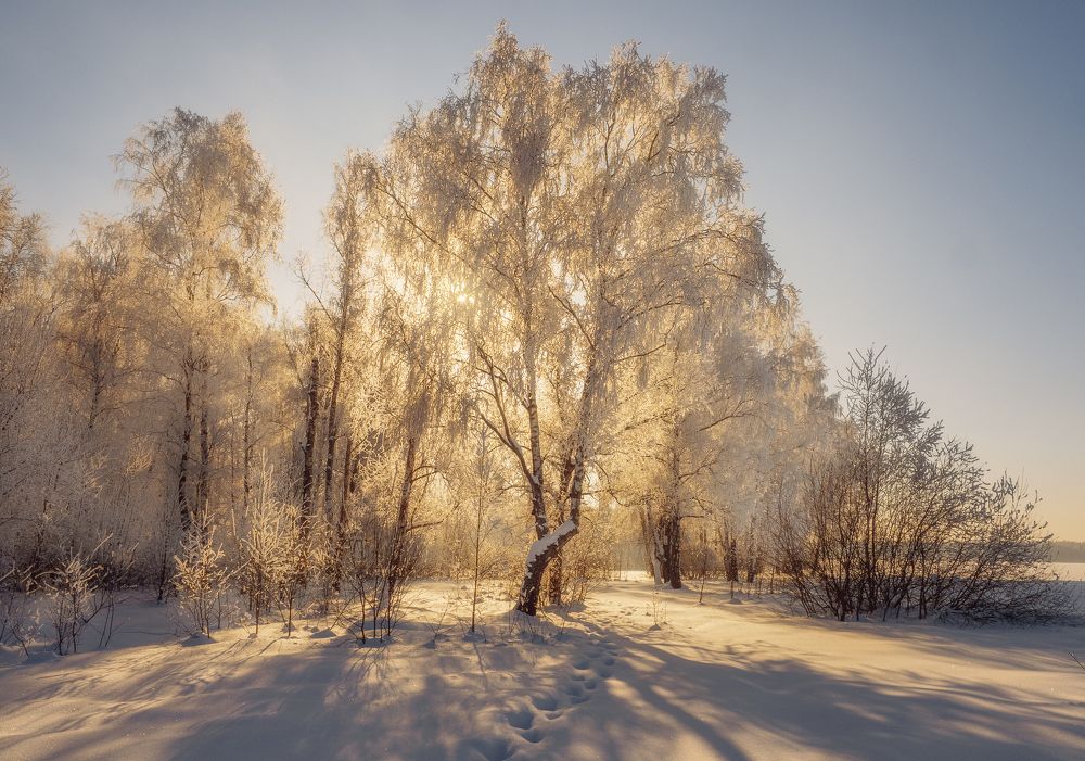 Photograph by Мозжухин Максим