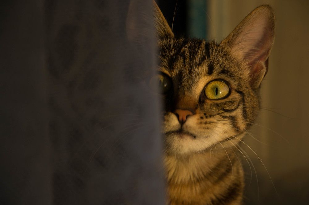 Photograph by Vesela Boycheva