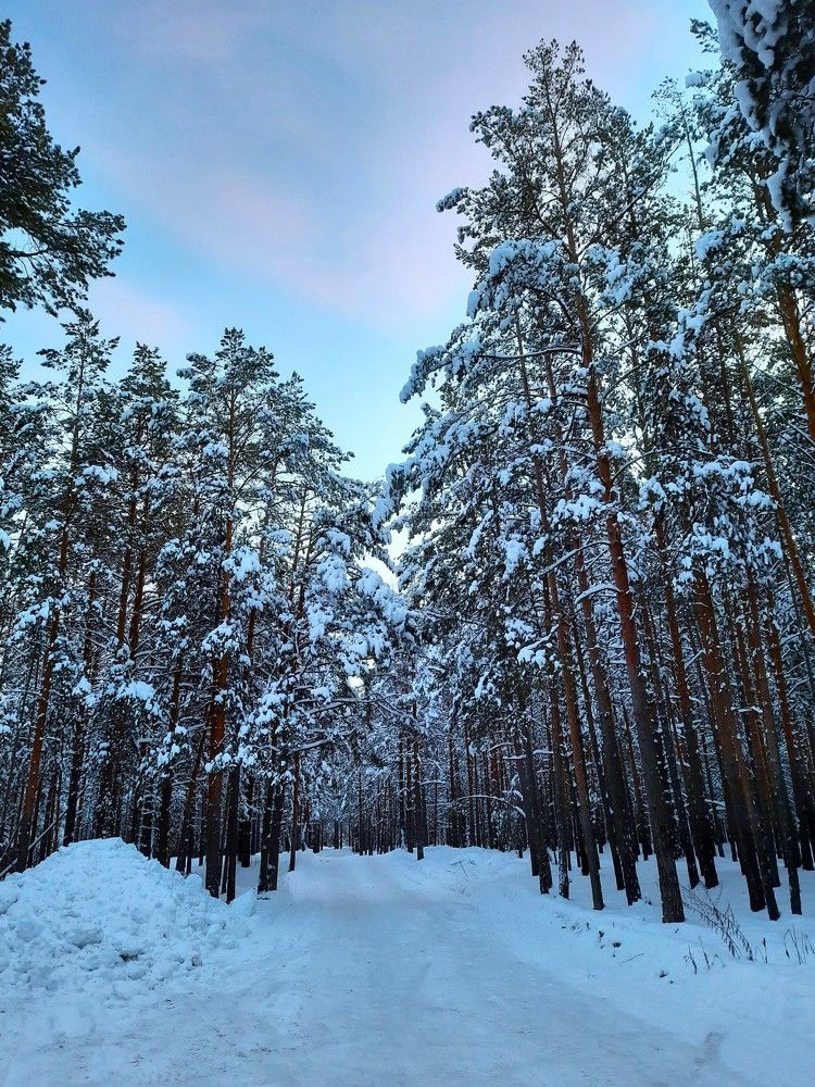 Photograph by Марина Ильева