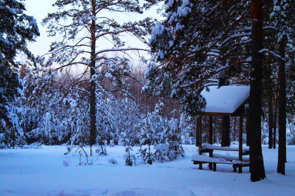 Photograph by Марина Ильева