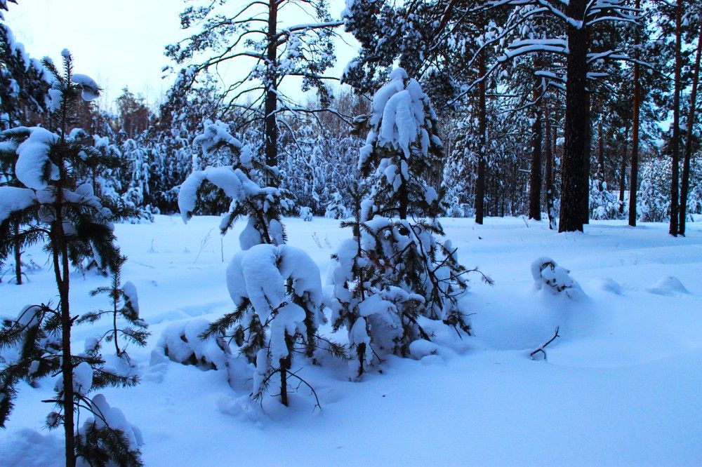 Photograph by Марина Ильева