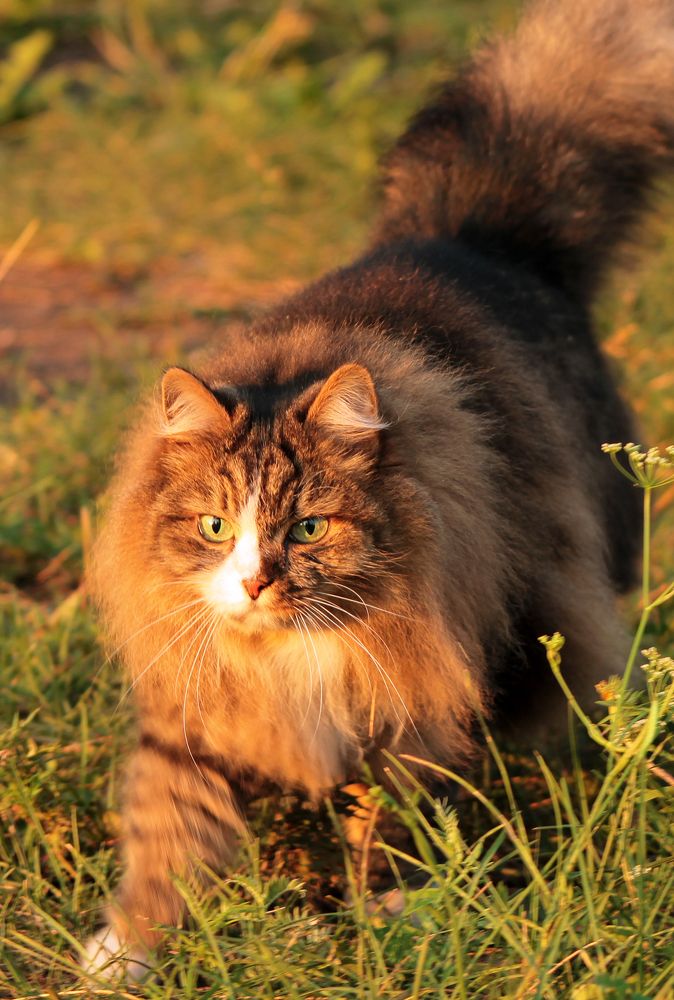 Photograph by Юлия Ташлыцкая