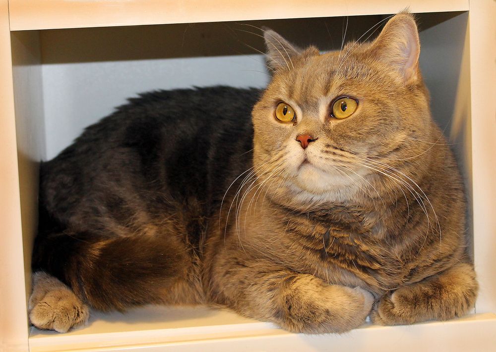 Photograph by Юлия Ташлыцкая