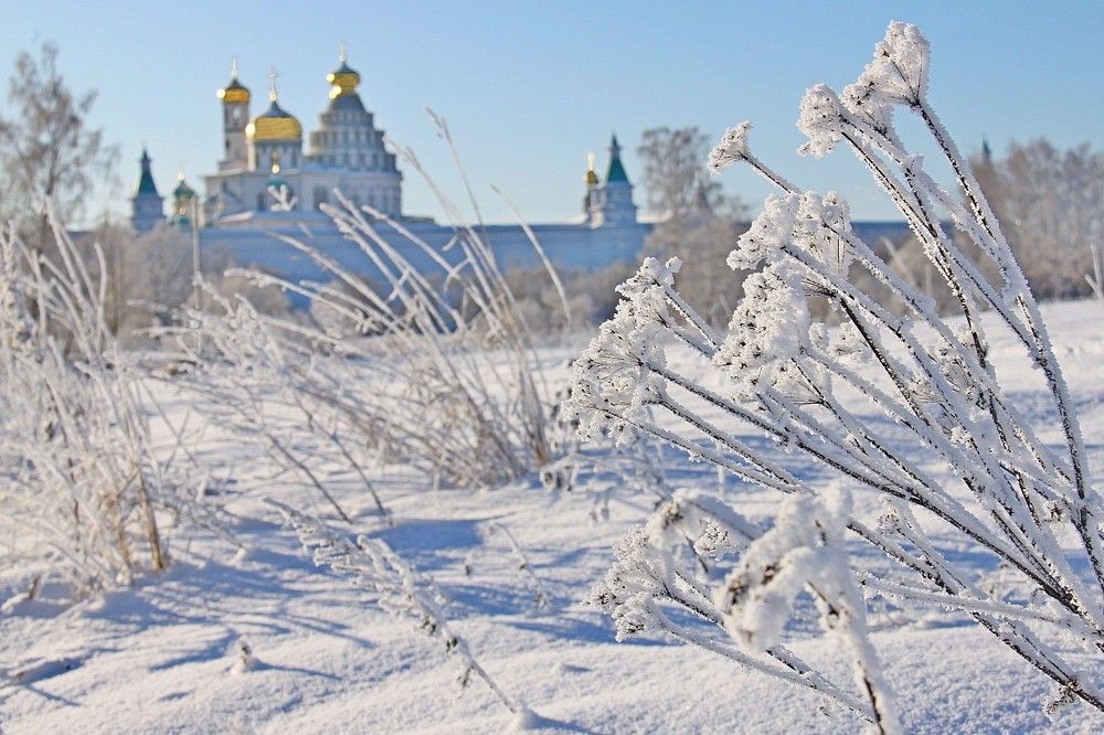 Photograph by Седельникова Юлия