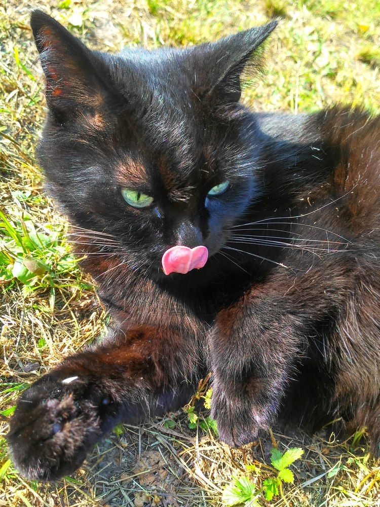 Photograph by Оксана Радзиевская