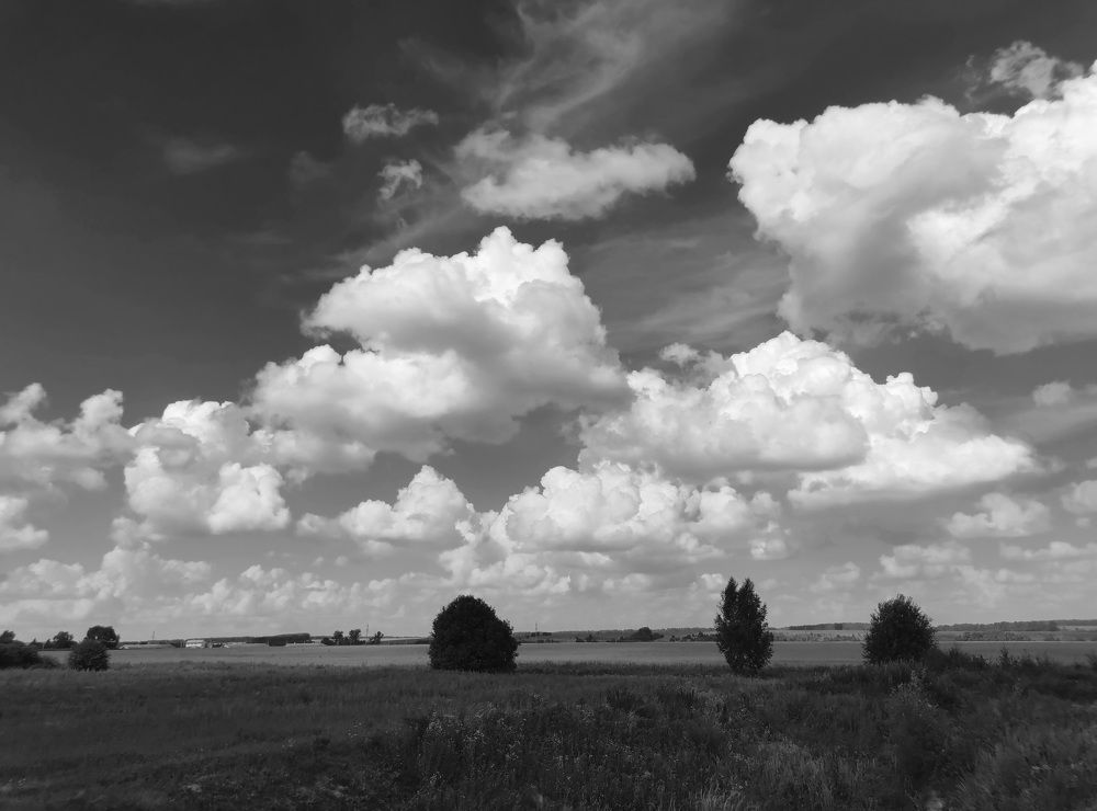 Photograph by Ева Мельникова