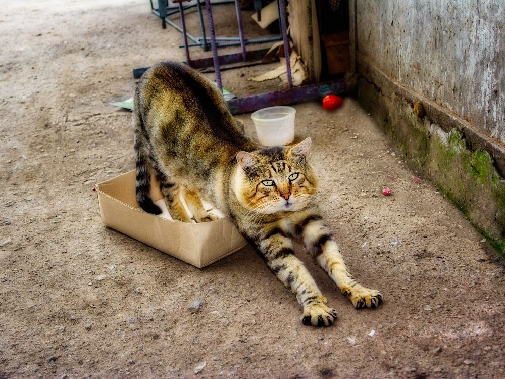 Photograph by Владимир Кваша