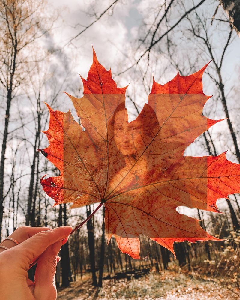 Autumn dream