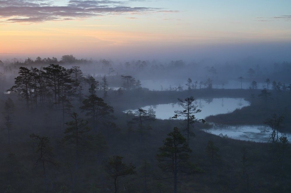 Photograph by IJA REIMAN