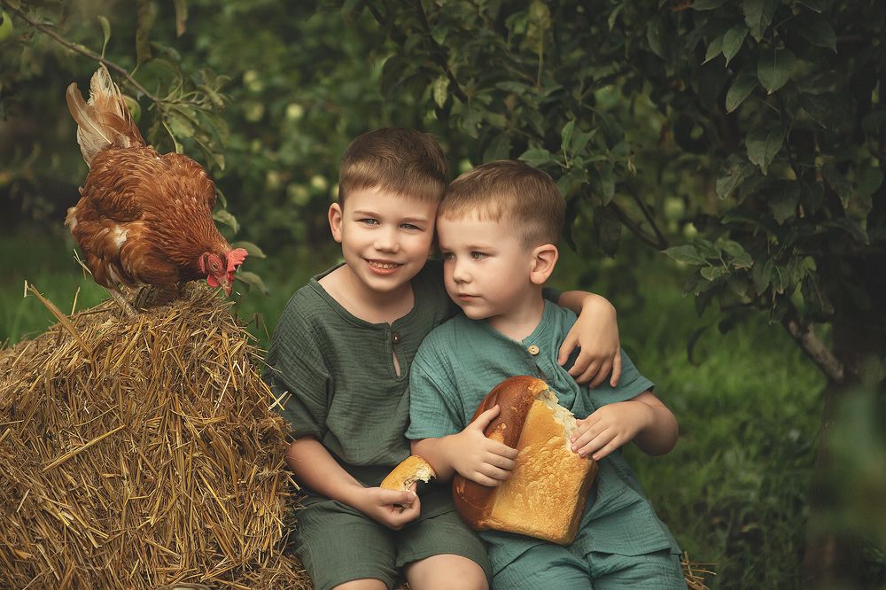 "Лето у бабушки"