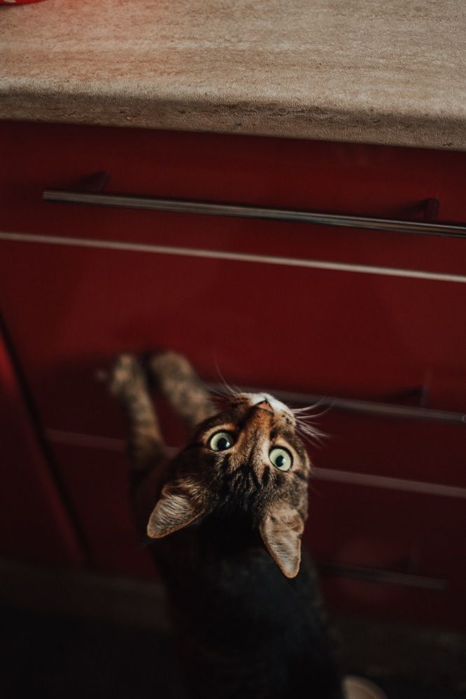 Photograph by Елена Сутырина