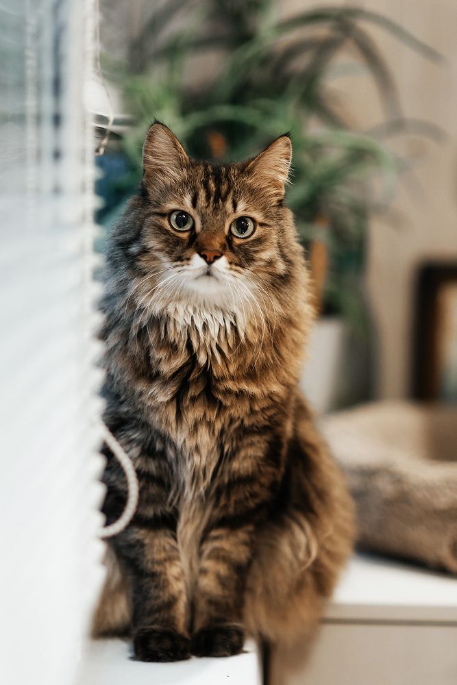 Photograph by Ольга Ляхова