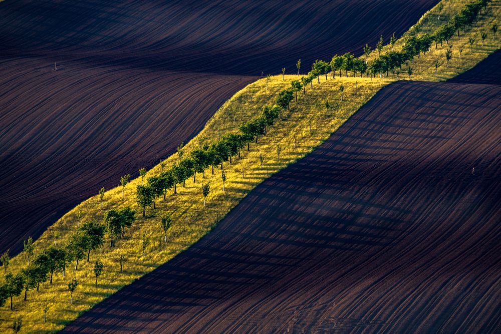 Фотография автора konstantin zhdanov