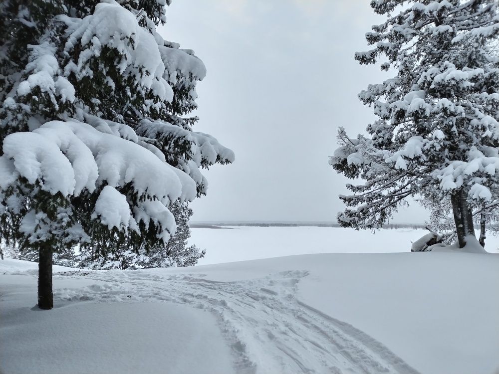 Photo #8715458