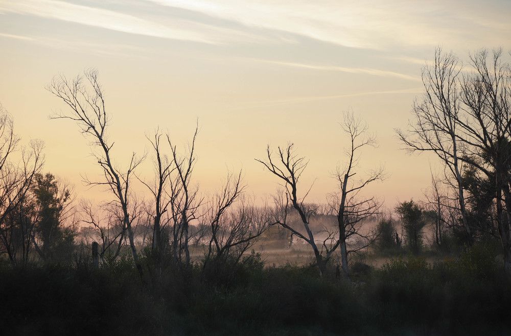 Photograph by Рания Шарипова