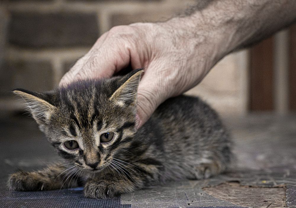 Photograph by Mahdi vagahri shorche
