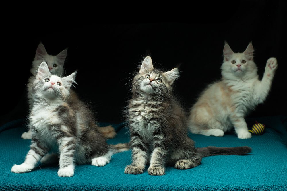 Photograph by Сергей Беляевский