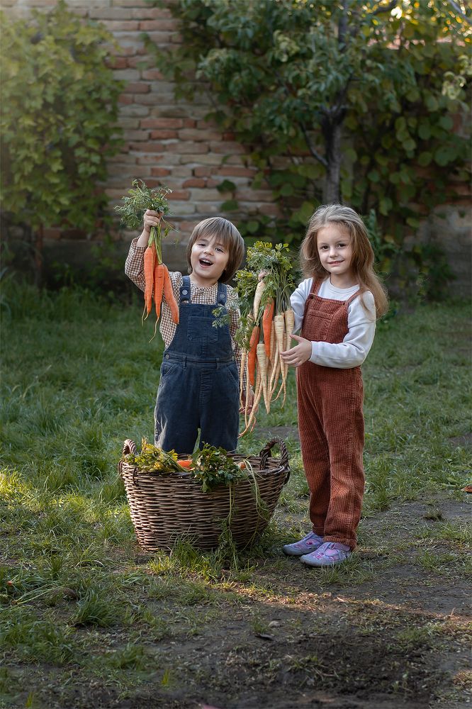Photograph by Эльвира Бркич