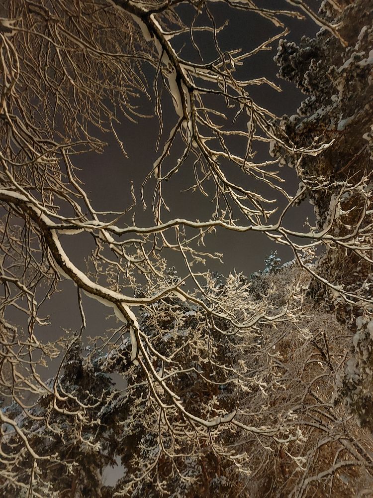 Photograph by Татьяна Олефиренко