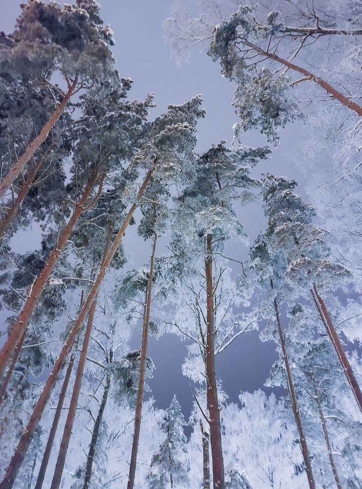 Photograph by Татьяна Олефиренко