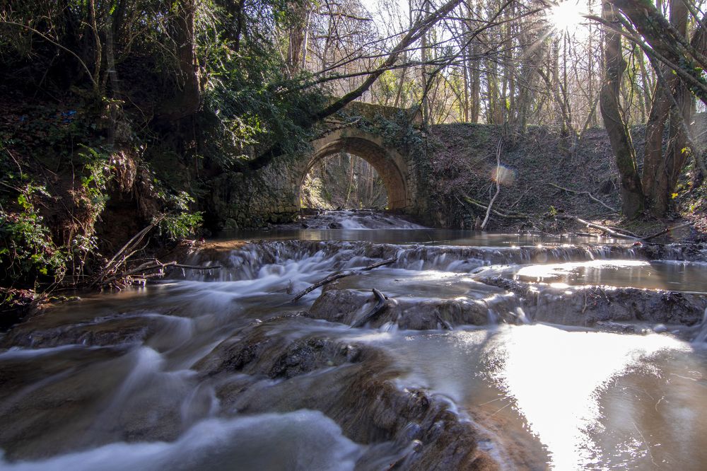 Photograph by Victoria Acha