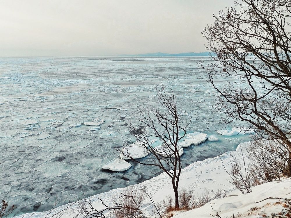 Photograph by Екатерина Цвиркунова