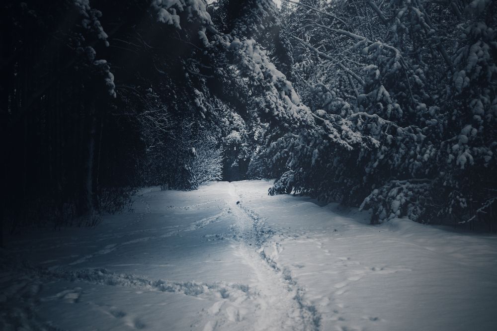 Photograph by Евгений