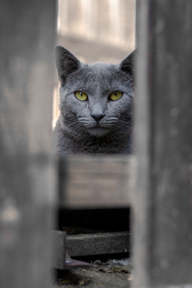 Photograph by Tsvetan Stanishelski