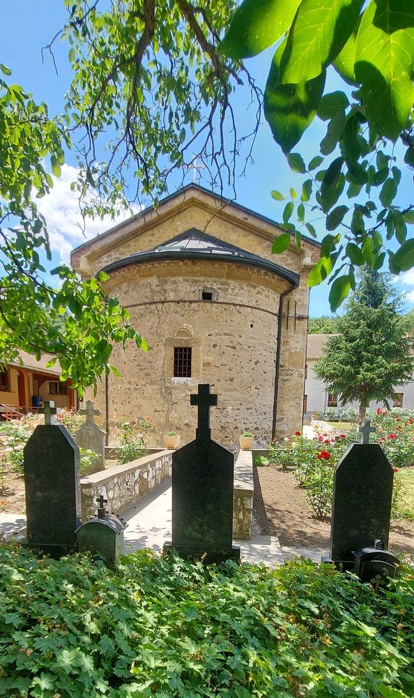 Фотография автора Stevo Dragić