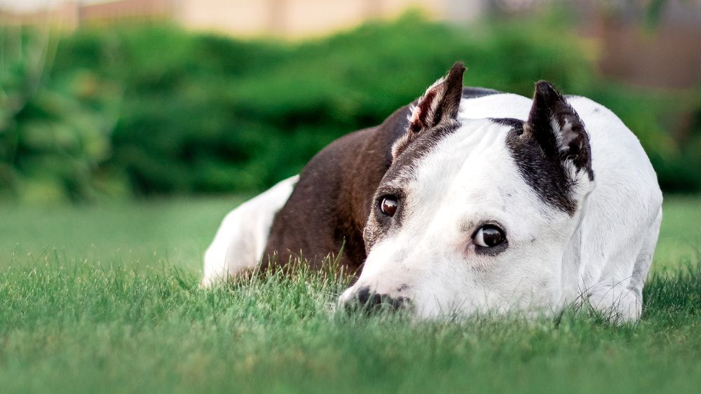 Photograph by Anastasia Luchenok