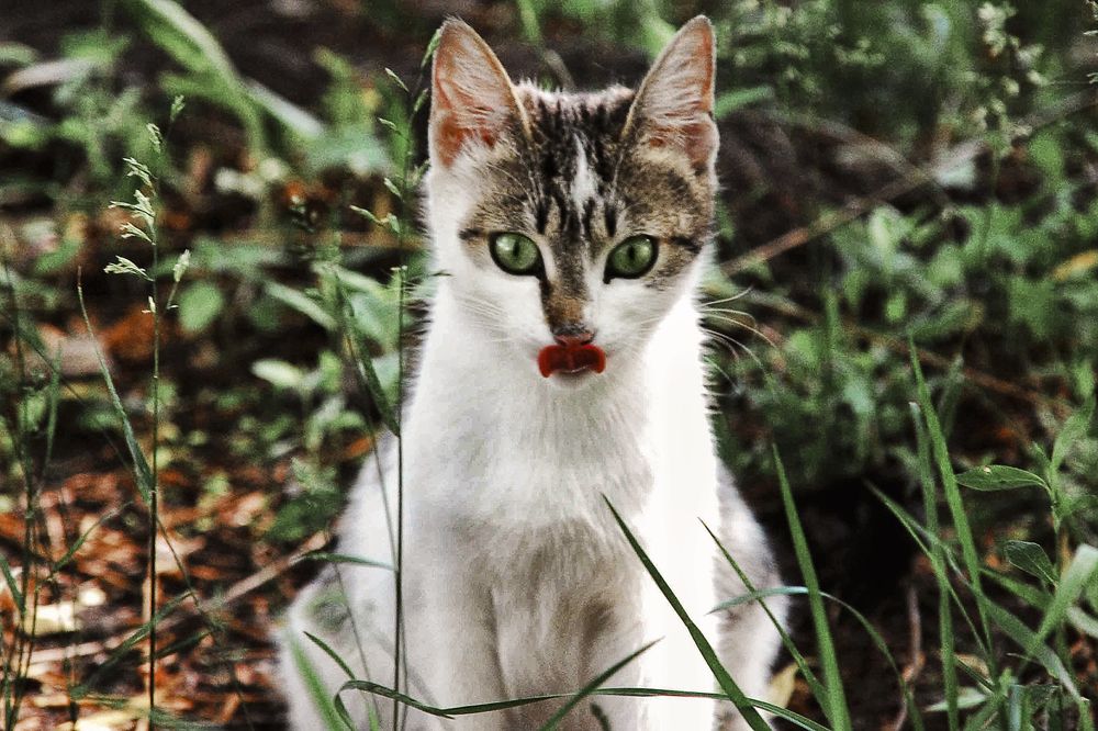 Photograph by Максим