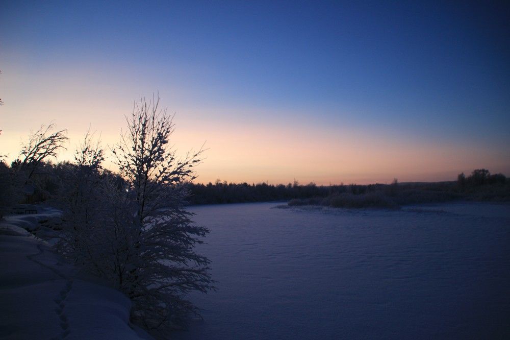 Фотография автора Светлана Овчинникова(Терехова)