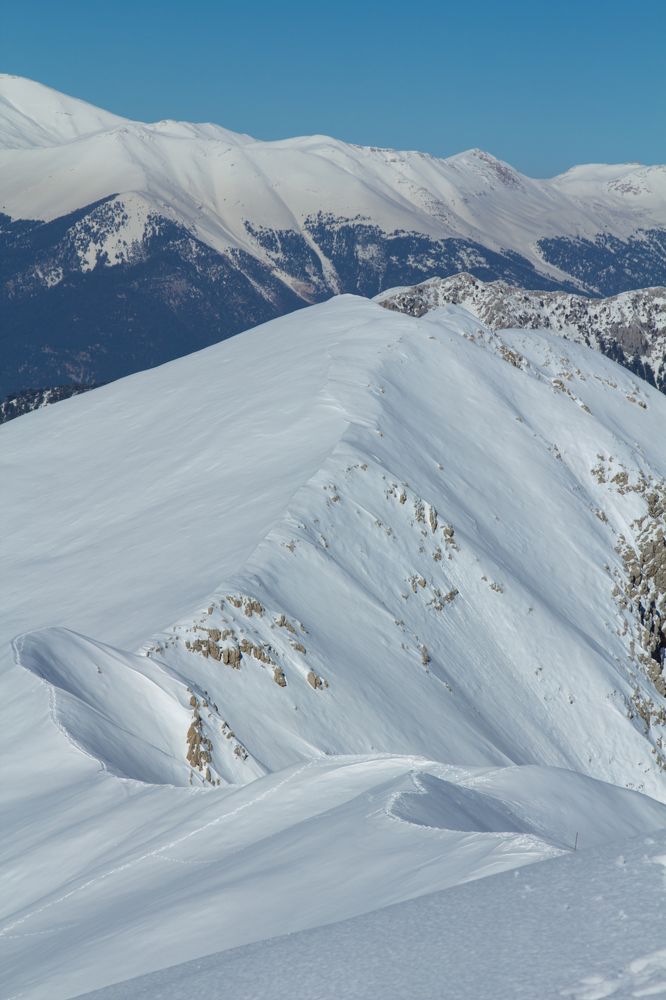 Photograph by Olga Min