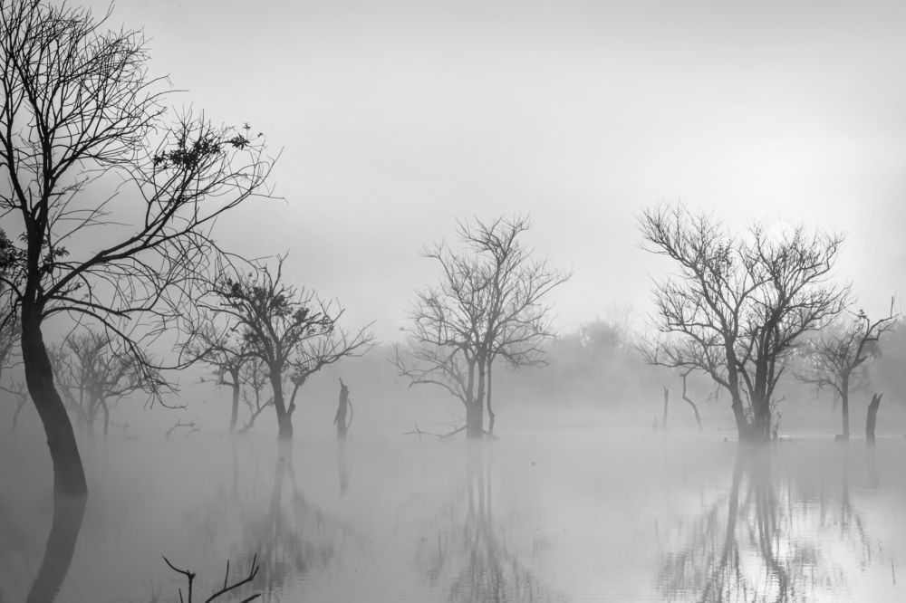 Photograph by San Winko