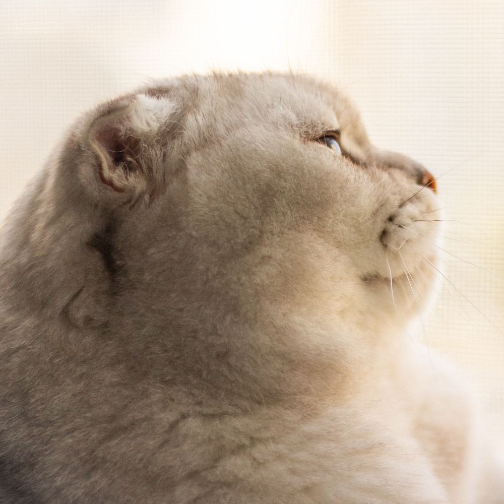 Photograph by Anastasia Luchenok