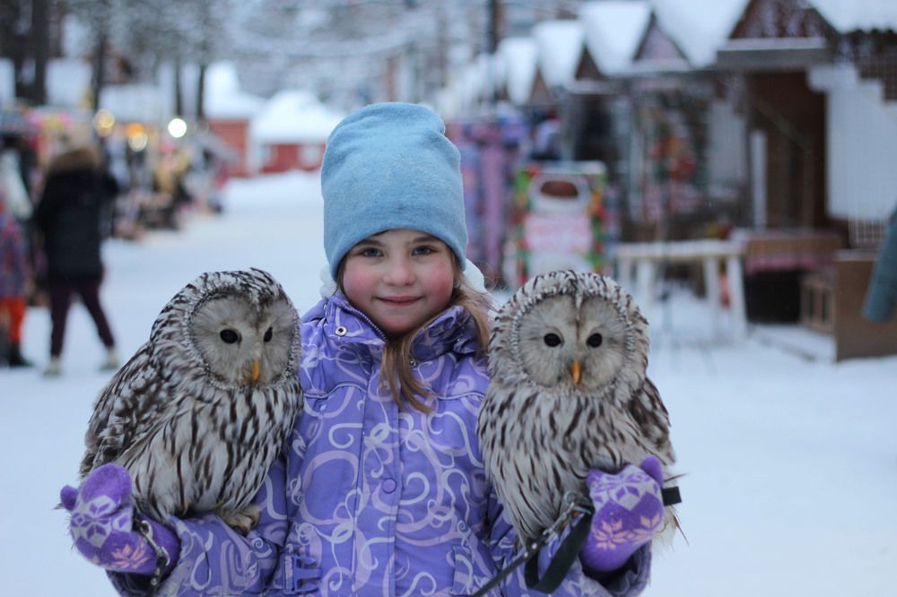 Photograph by Светлана Зотова