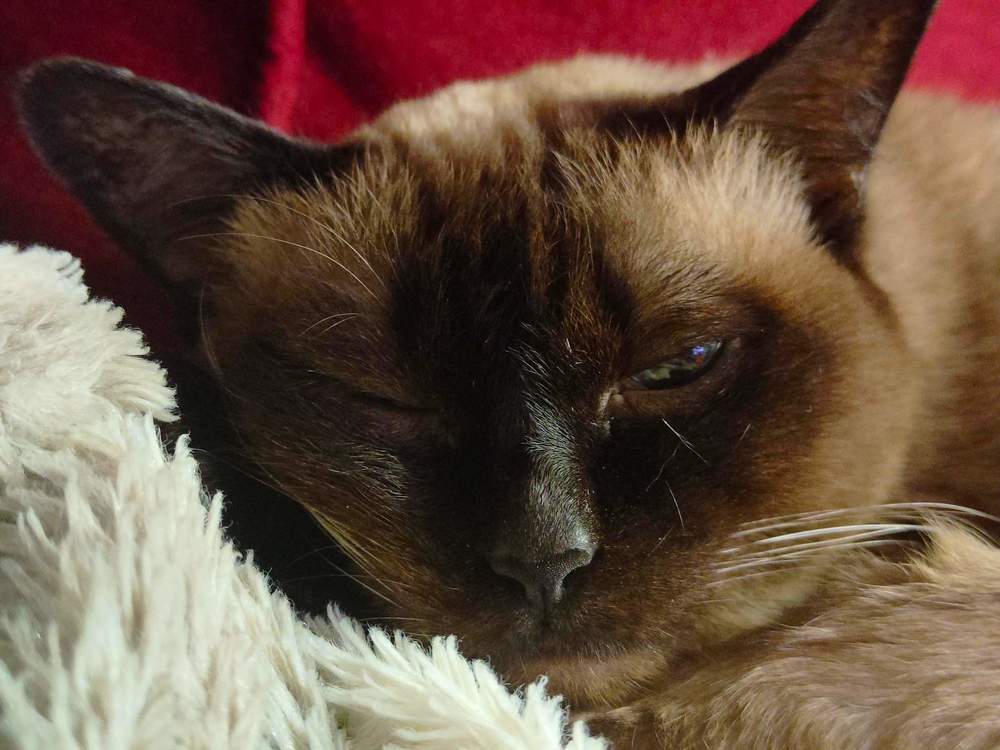 Фотография автора Наталья Кулешова