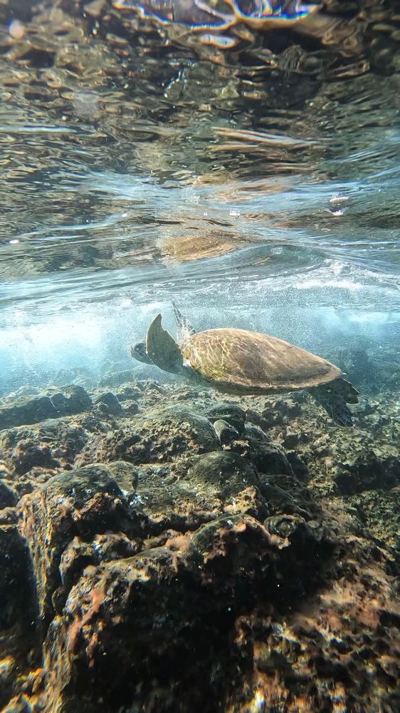 Photograph by RICARDO