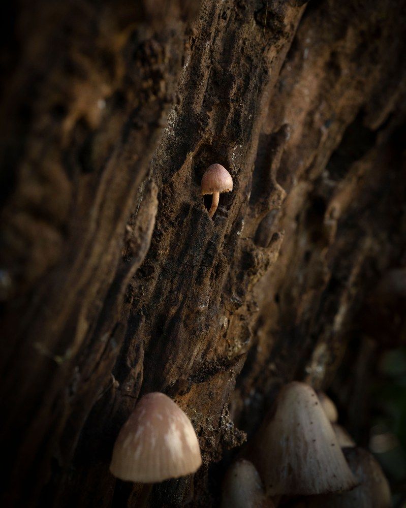 Photograph by Ursulescu Naomi-Laura